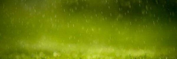 Gertuin Profile Banner