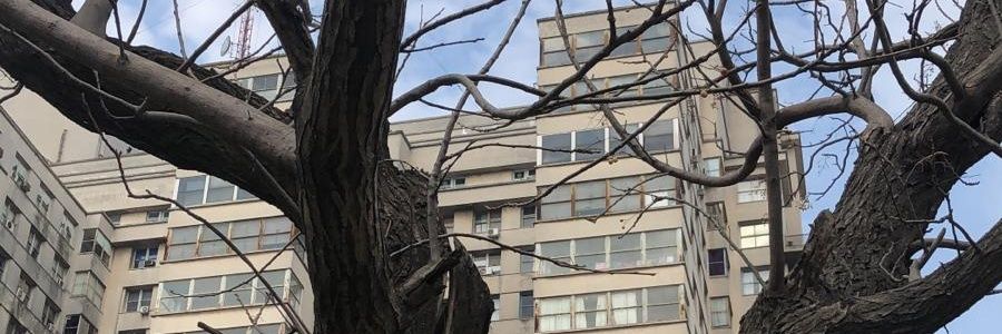 Martin Rebella banner