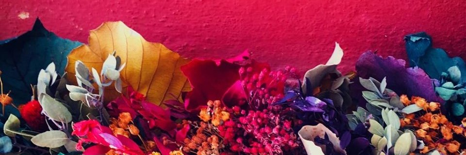 Michimiaau's profile banner image