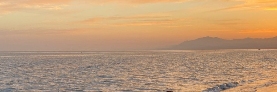 AmnaAlRashed's profile banner image