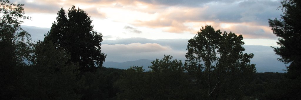TLHOA's profile banner image