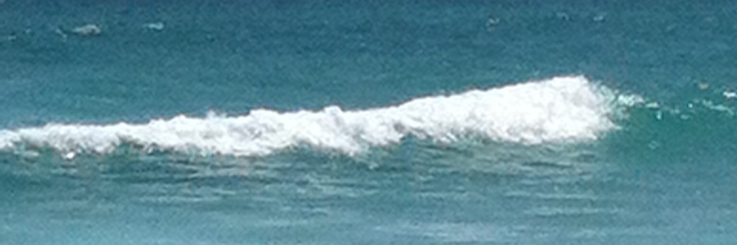 wonkatrollador's profile banner image