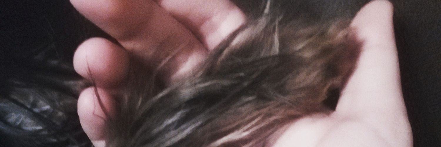 Rosamp03's profile banner image