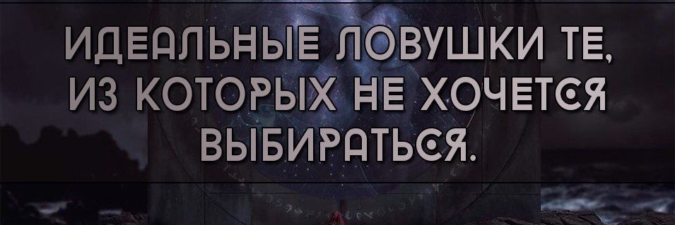 dqwwqb's profile banner image