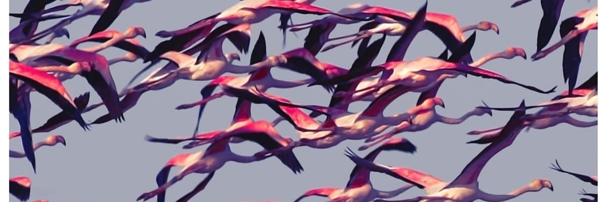 UnTonia banner