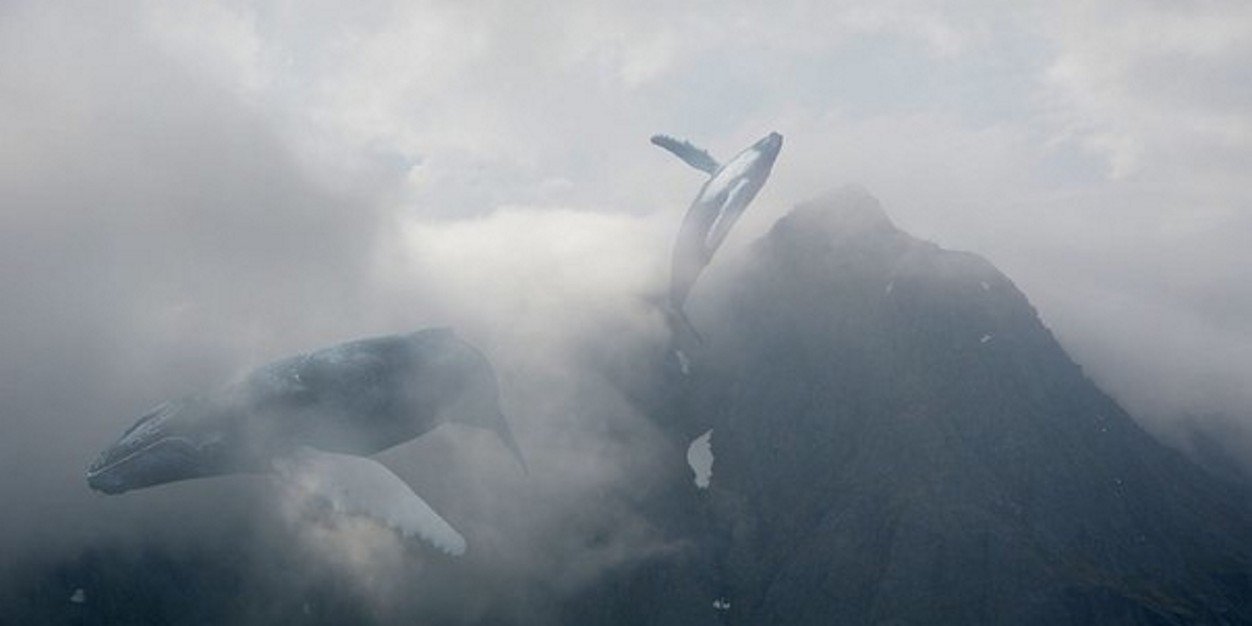 Gromov_3's profile banner image