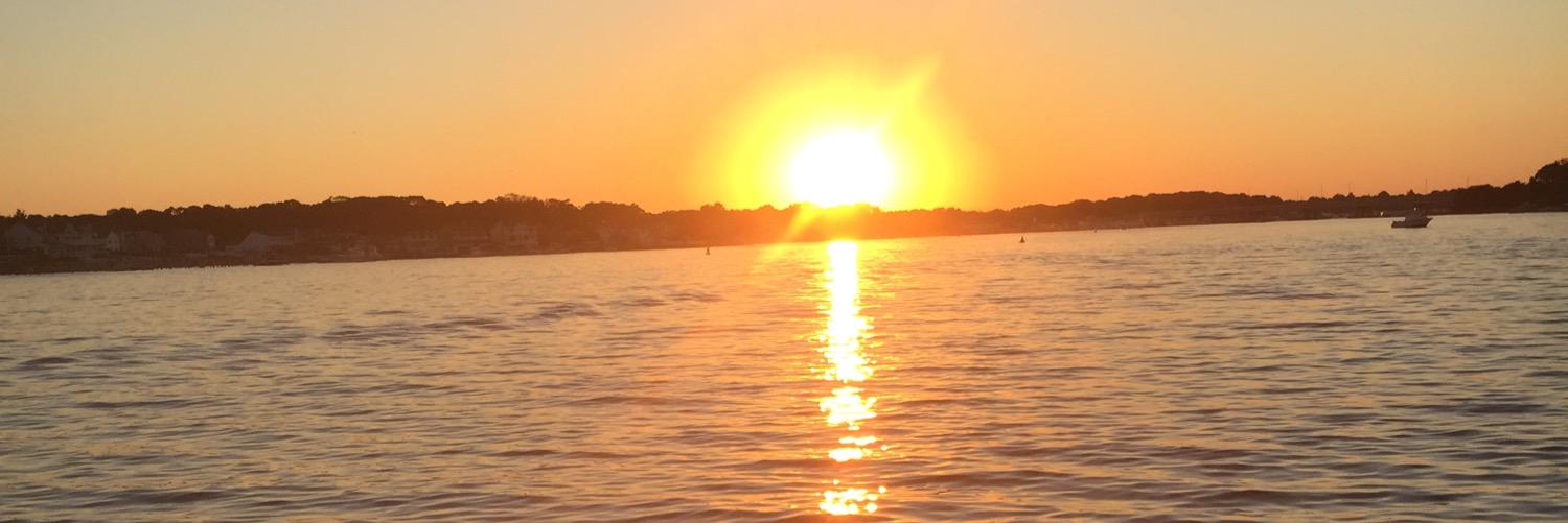 Elizabeth Capone banner