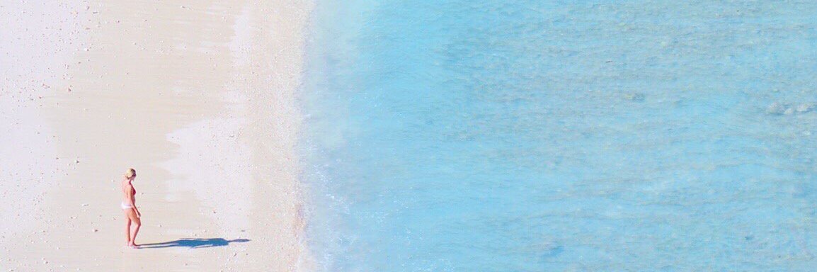 liulusunny's profile banner image