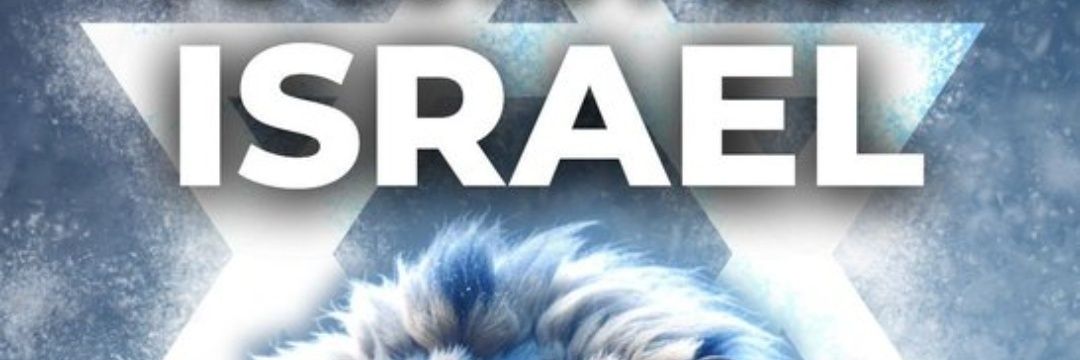 malumartinez33's profile banner image