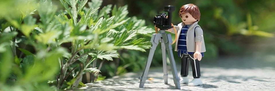 Light Stalking banner