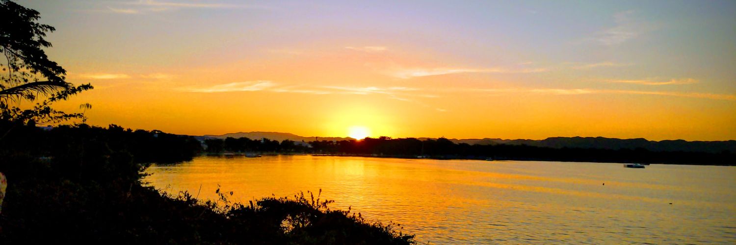 RMEEWood's profile banner image