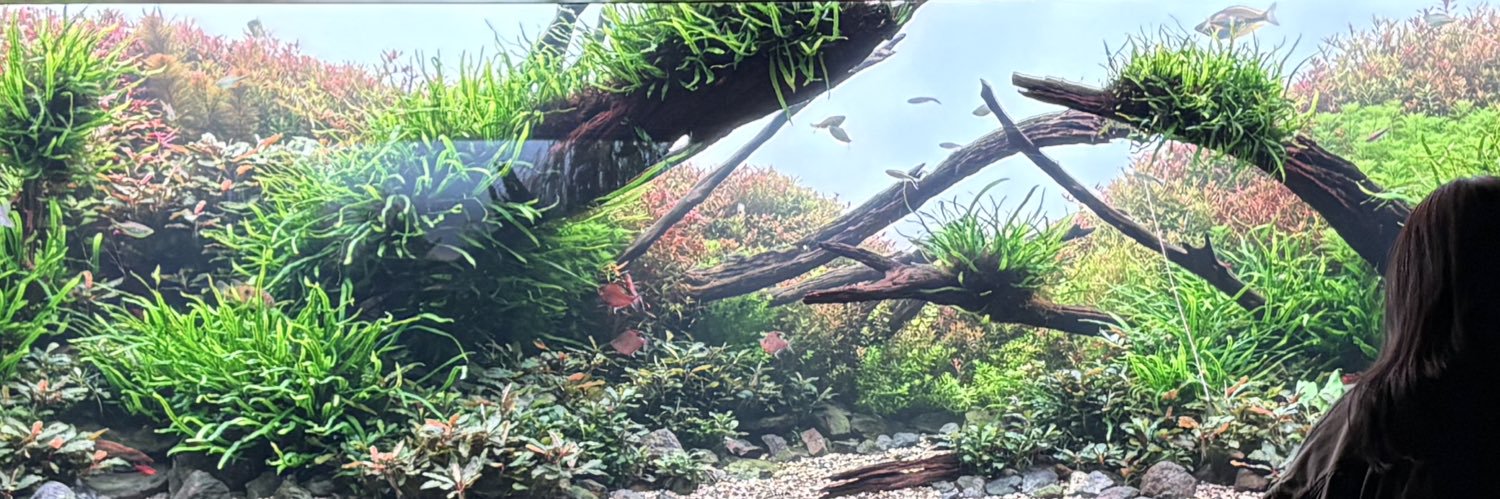 じゅんじゅん🪐 banner