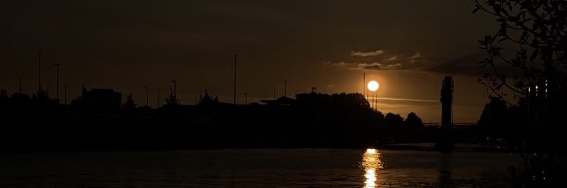 medusasmuseum's profile banner image