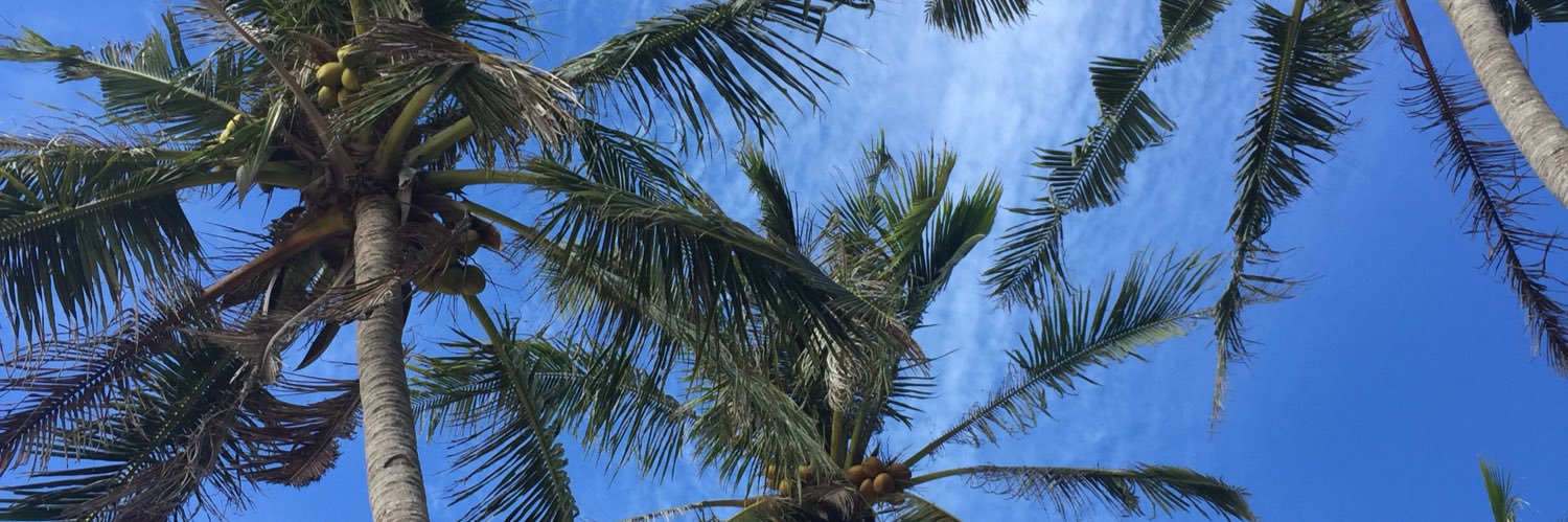 edreezyyy's profile banner image
