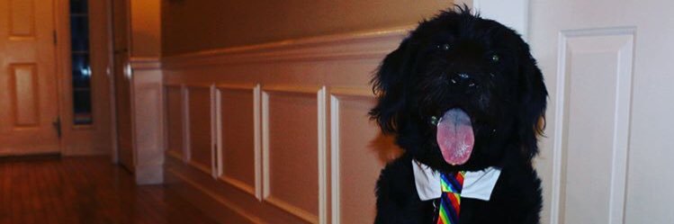 JozsefScott's profile banner image