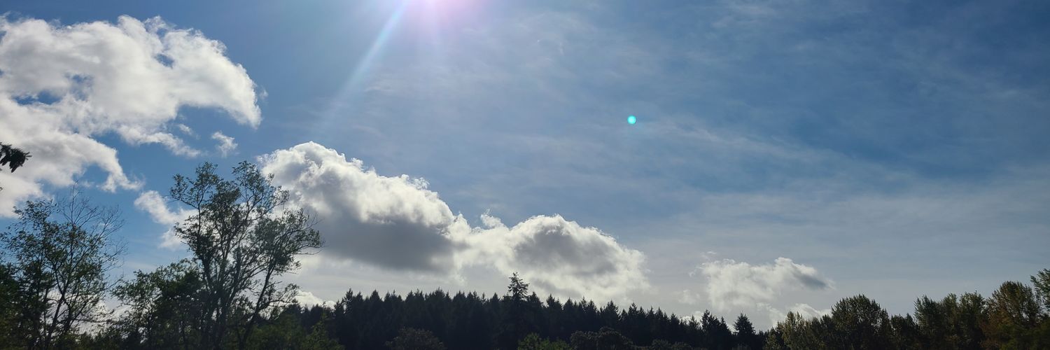 teamavi's profile banner image
