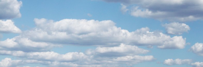Daniel Hoe banner
