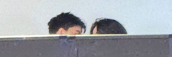 hoy hoy~ banner