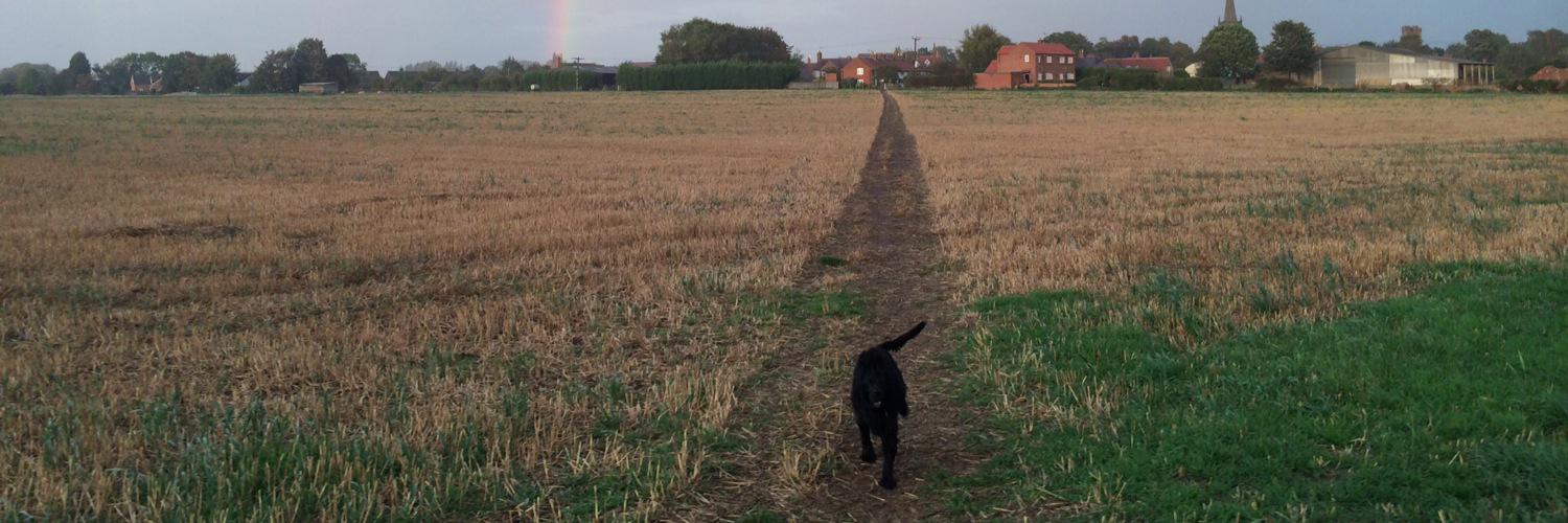 Bunnypie2's profile banner image