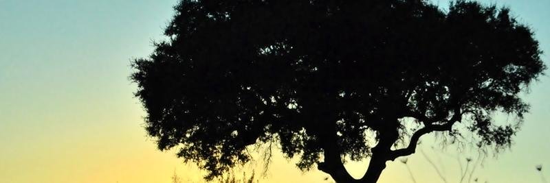 StephaniieJorge's profile banner image