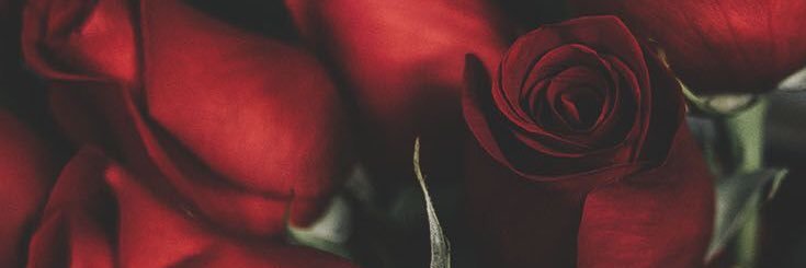 leonieeee8's profile banner image