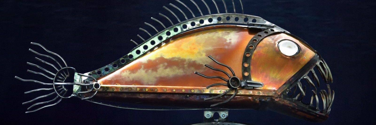 Dorset Copperfish banner