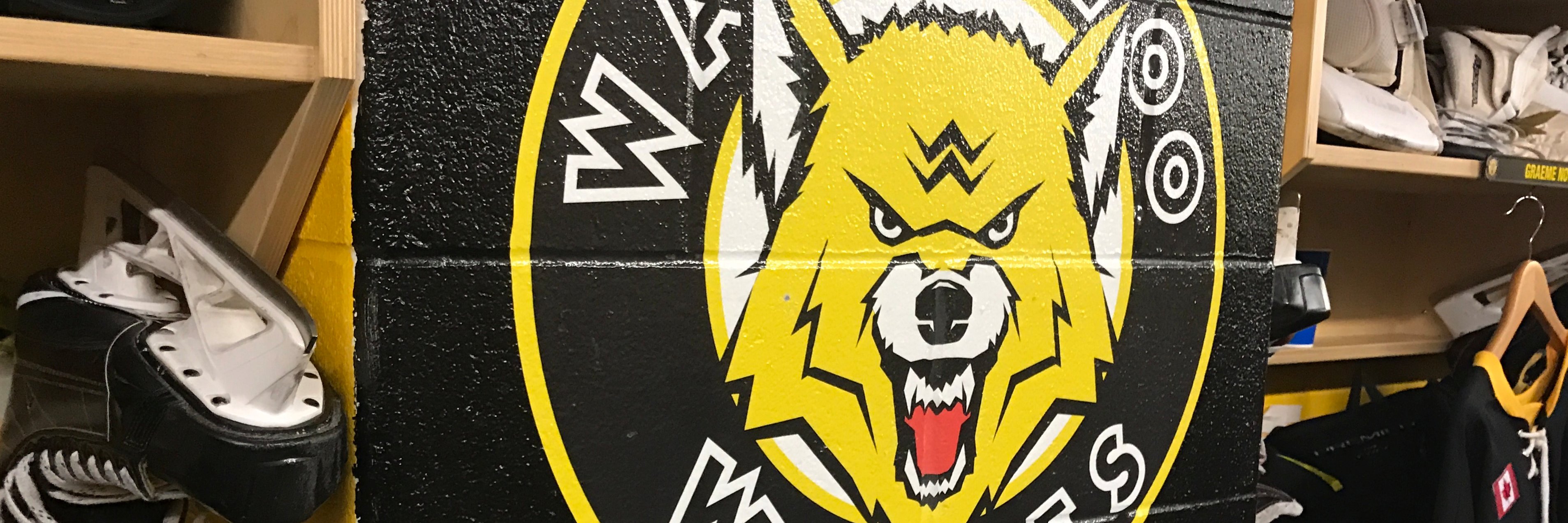 Waterloo Wolves🐺 banner