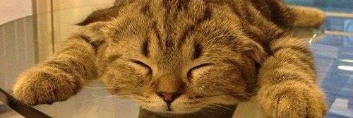 cubodebasura's profile banner image