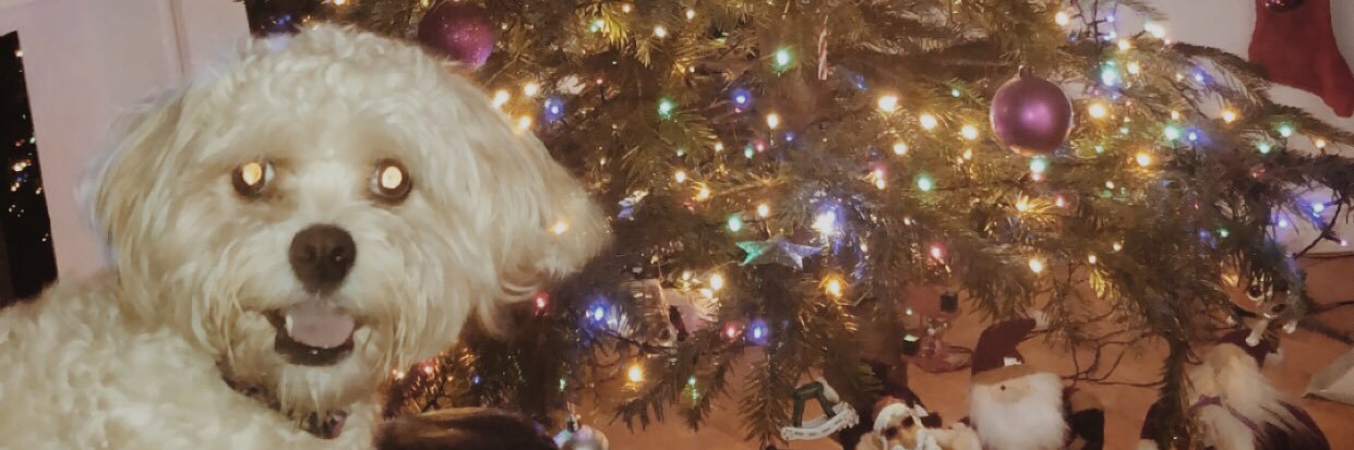oHannahMcCann's profile banner image