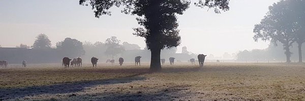 Geertjan Kloosterboer Profile Banner