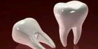 LifhaL's profile banner image