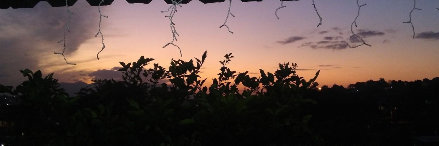 d_araujo2's profile banner image