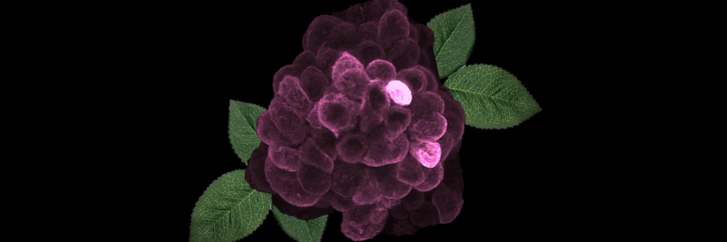 Menusha Arumugam banner