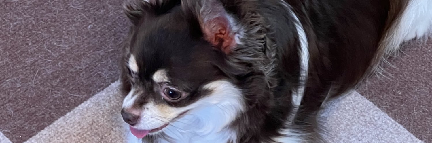 ponskiyja's profile banner image