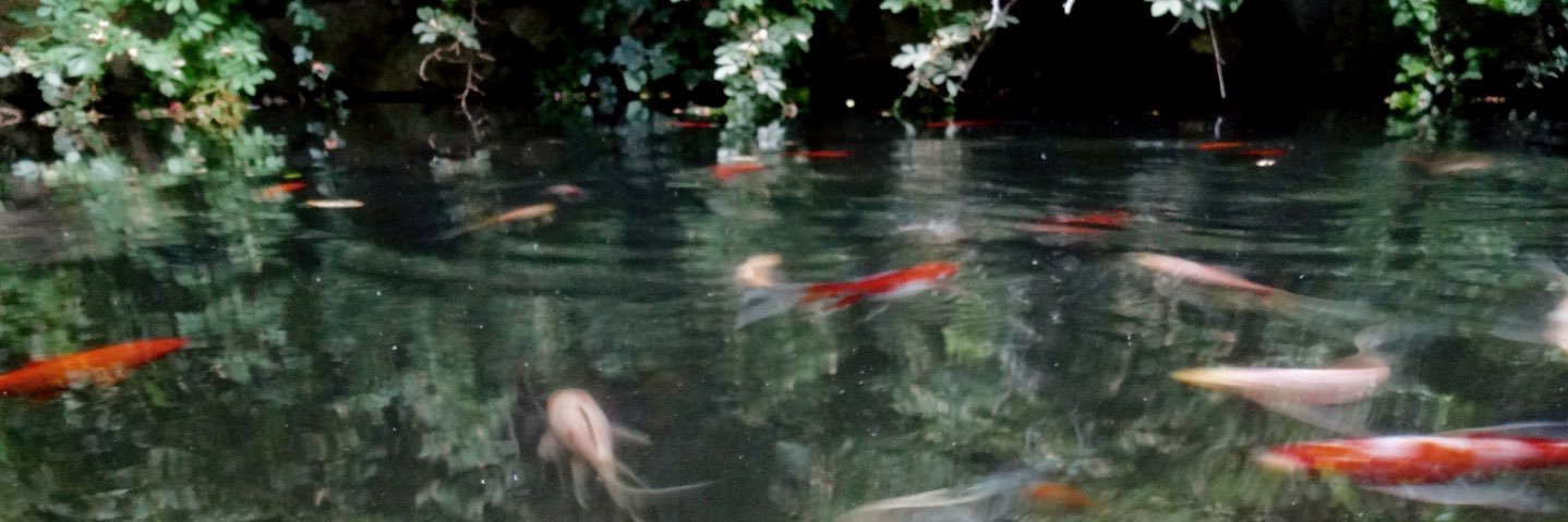 slowburnerrrr's profile banner image
