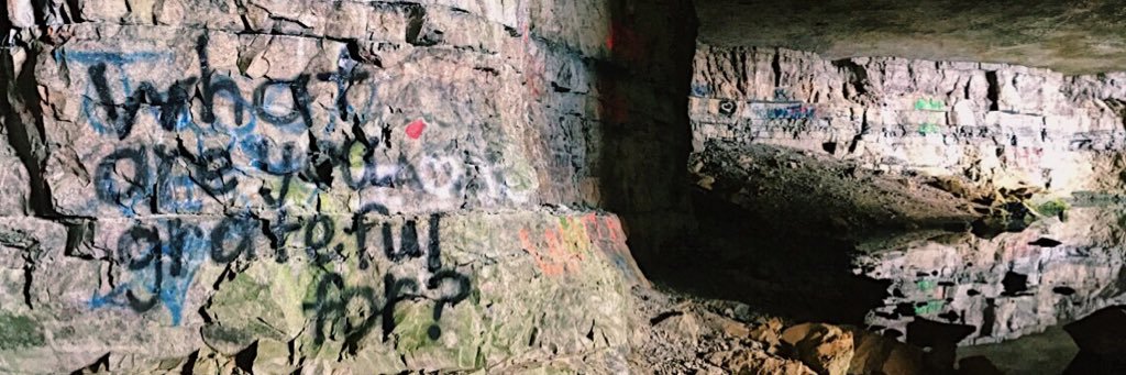 ca1t_'s profile banner image