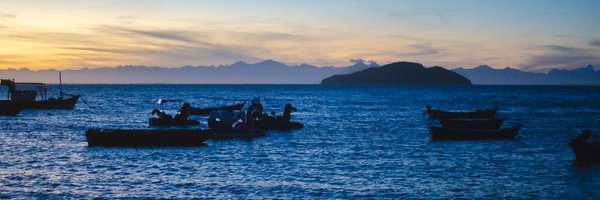 elalumbrador Profile Banner