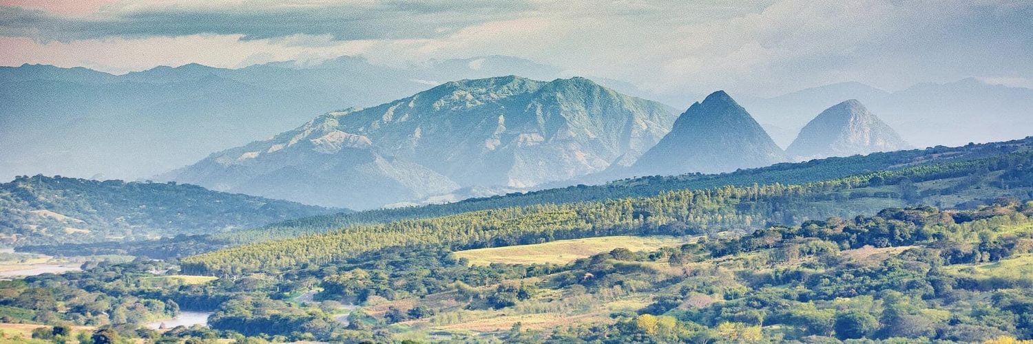 ADOLFO GOMEZ banner
