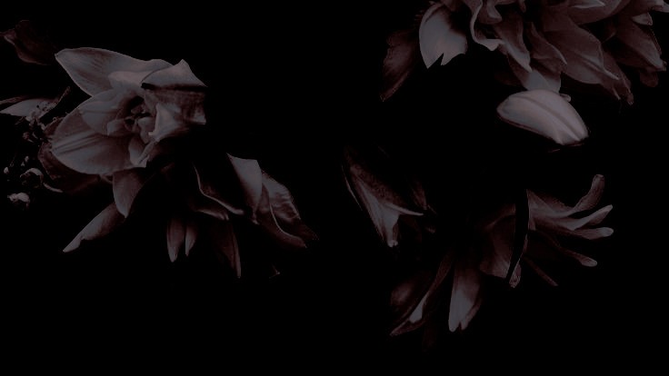 JulchenSchmidt_'s profile banner image