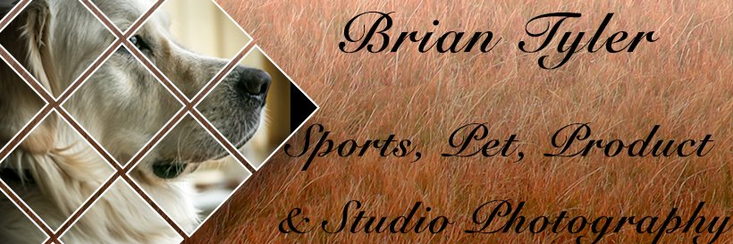 Brian Tyler Images banner