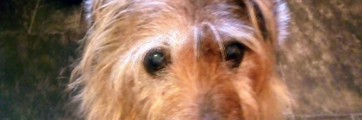 smaher78's profile banner image