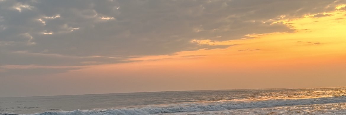 ml199807's profile banner image