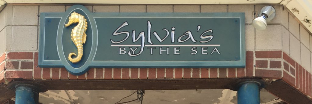 sylviack's profile banner image