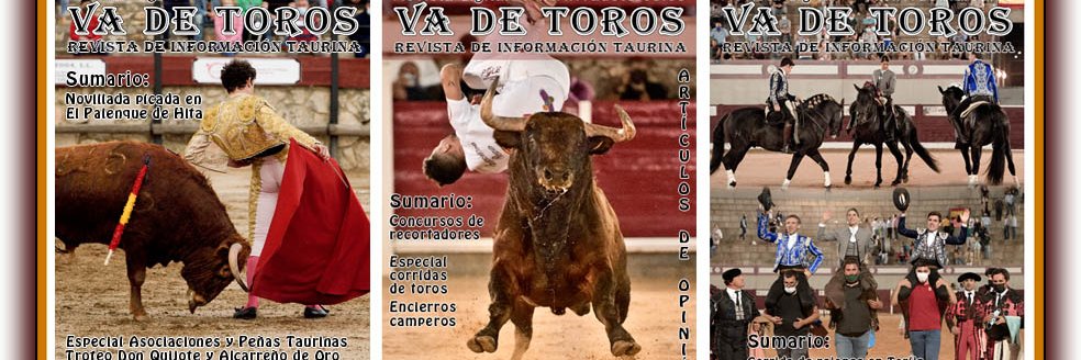 Digital Va de Toros banner