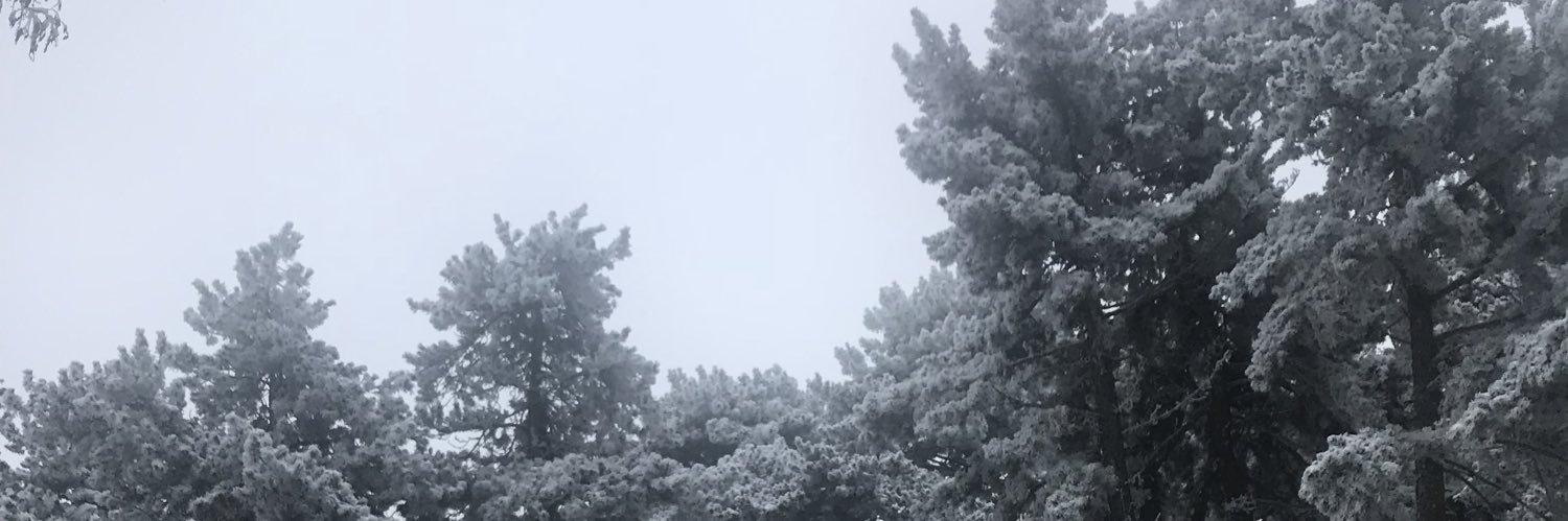 mlyncs's profile banner image