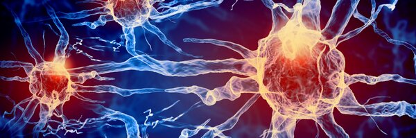 Memorado Profile Banner