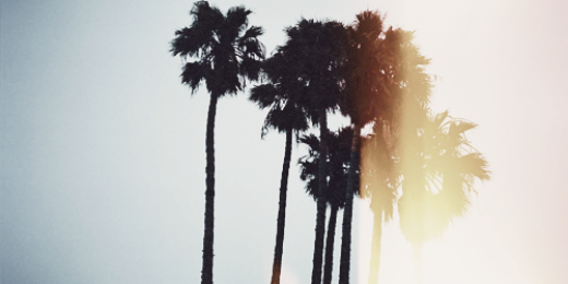 itsmcyruslogdr's profile banner image