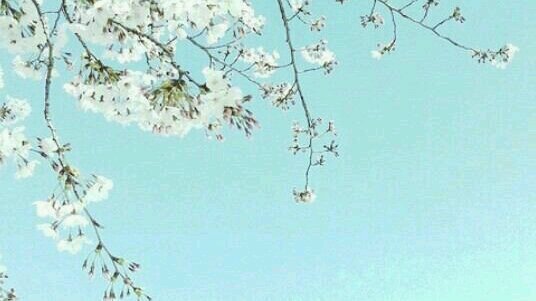 T__516_'s profile banner image
