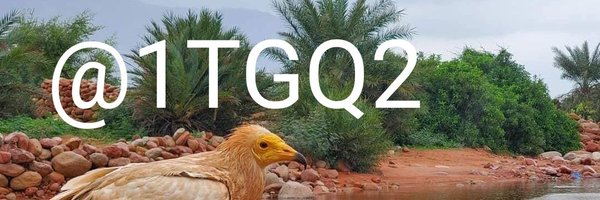 1TGQ2 Profile Banner