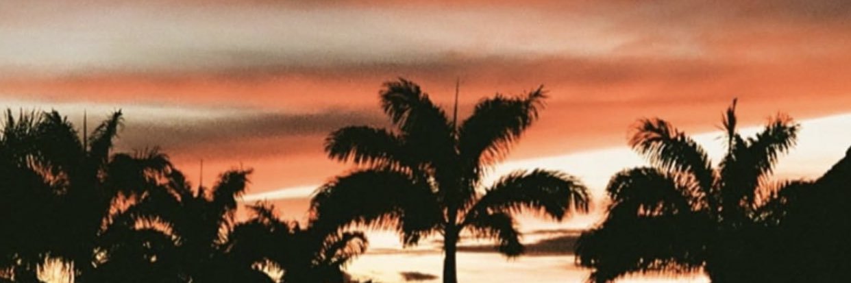 Missrimii's profile banner image